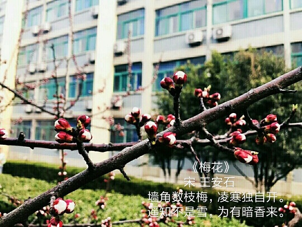 摄影5.jpg