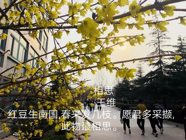 摄影2.jpg