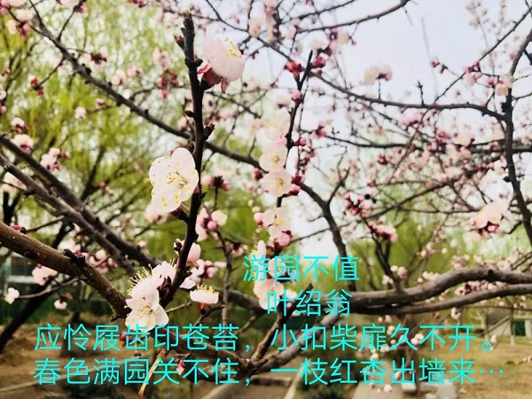 摄影1.jpg