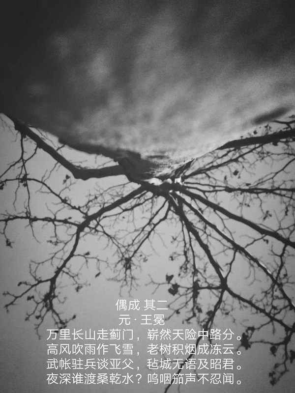 摄影6.jpg