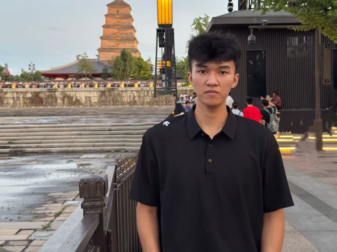 D6D8D