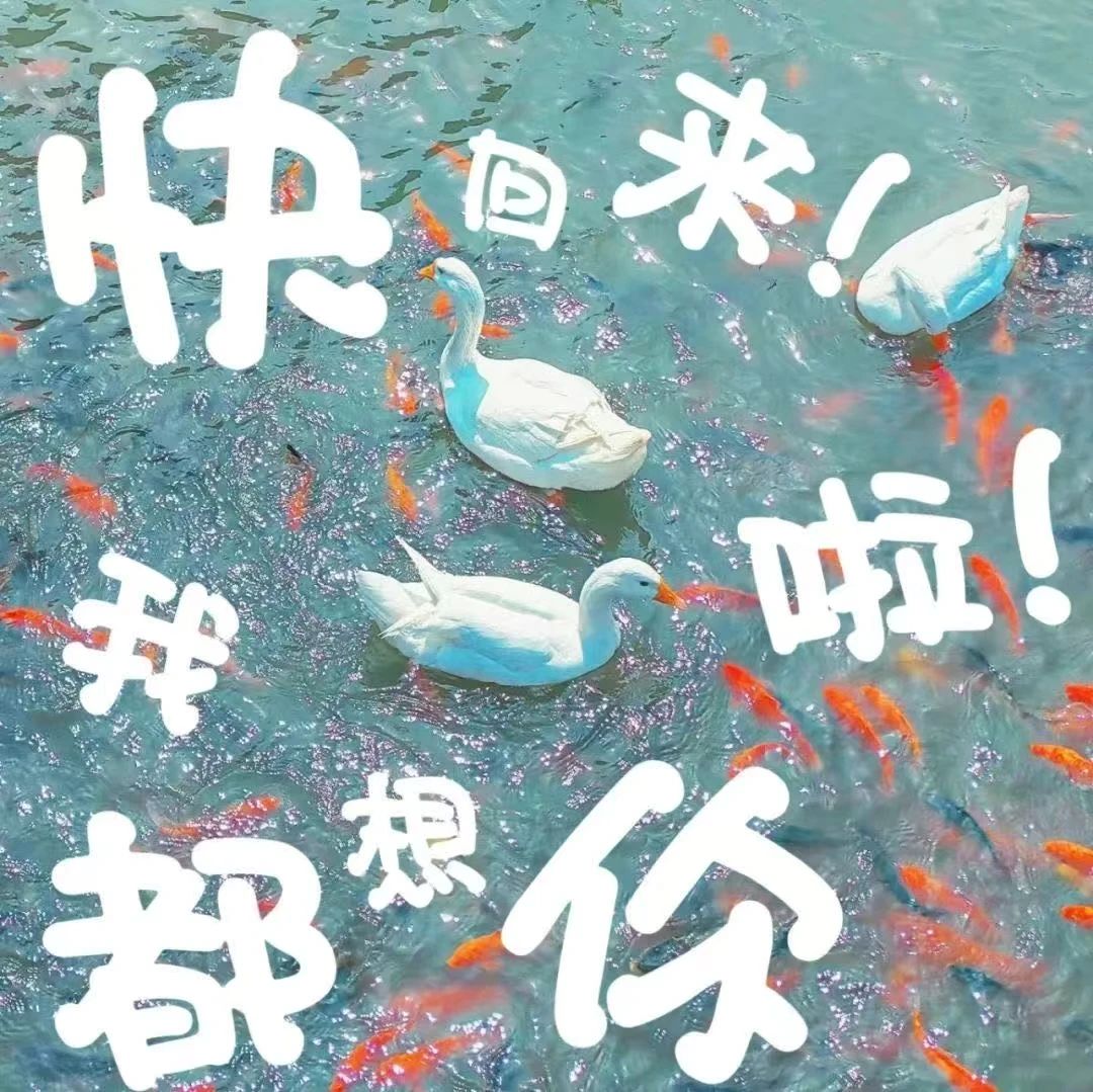 3477C 3477C